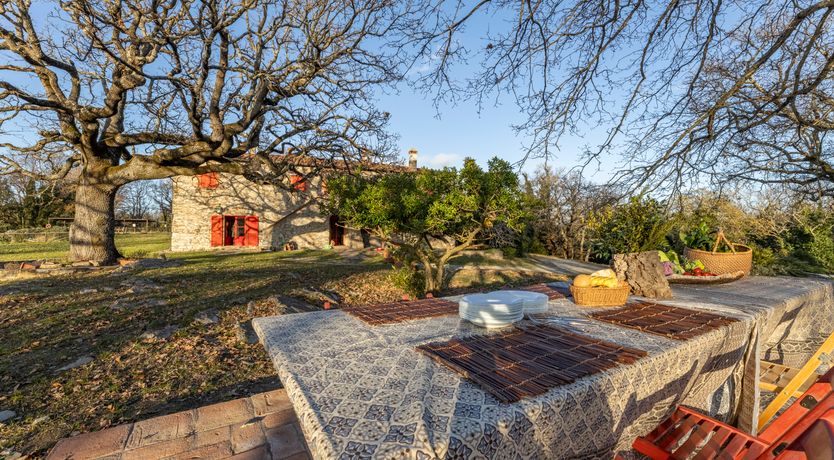 Photo of The Forest & The Sea