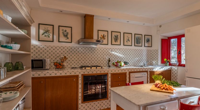 Photo of The Forest & The Sea