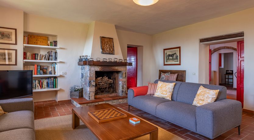 Photo of The Forest & The Sea