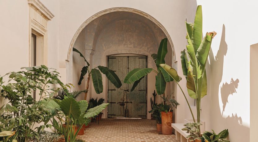 Photo of Palazzo Stories