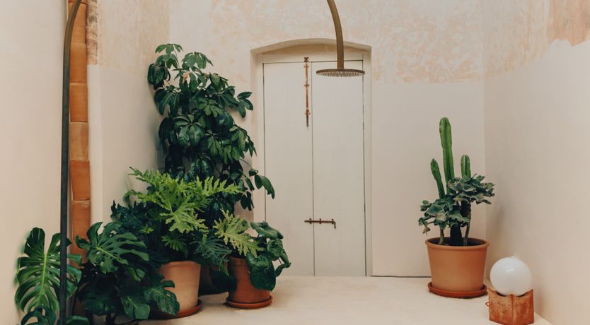 Photo of Palazzo Stories