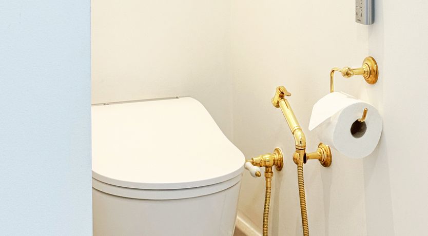 Photo of The Splendour of Paris