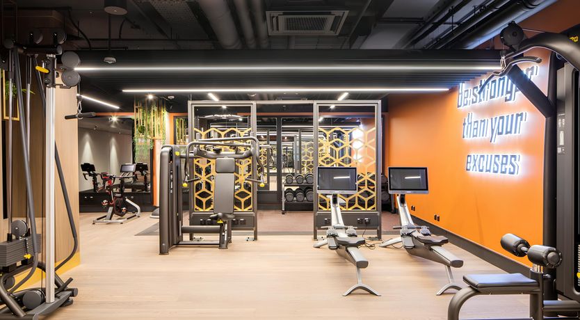 Photo of King of the Roof