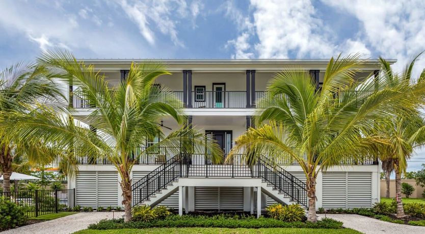 Photo of Marina Nights