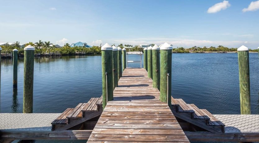 Photo of Marina Nights