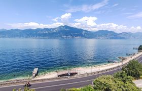 Photo of tognella