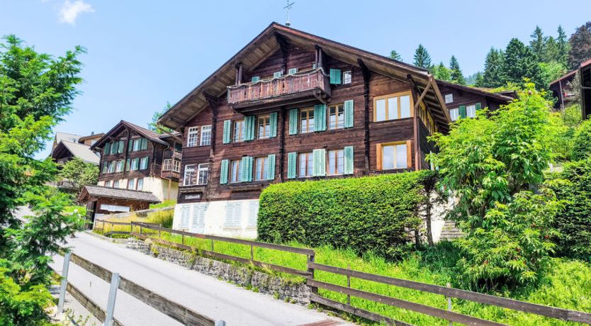 Photo of Galliweidli