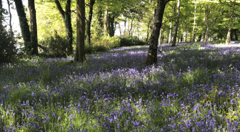 Photo of Riverside Cottage