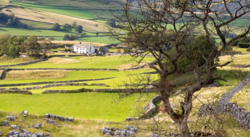 Photo of Number Seven