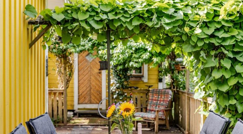 Photo of Kvarnfallet 40