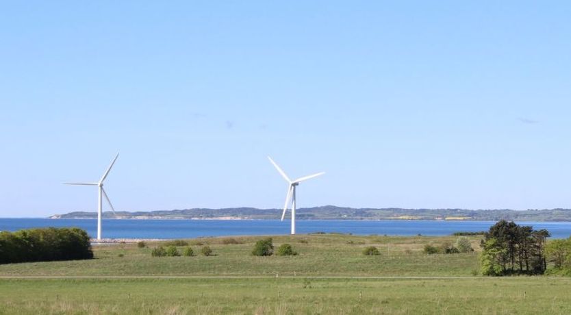 Photo of "Adia" - 650m from the sea