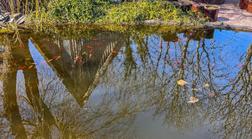 Photo of "Singa" - 600m from the sea