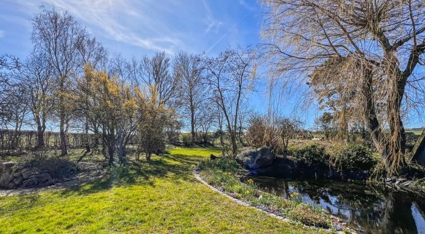 Photo of "Singa" - 600m from the sea