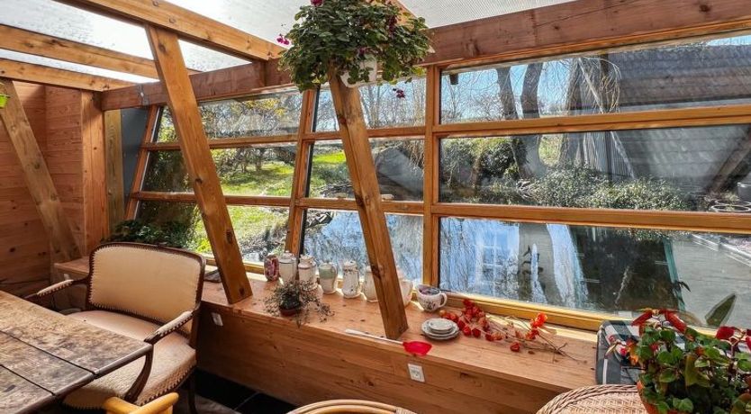 Photo of "Singa" - 600m from the sea