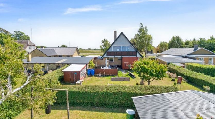Photo of "Lacey" - 4km from the sea