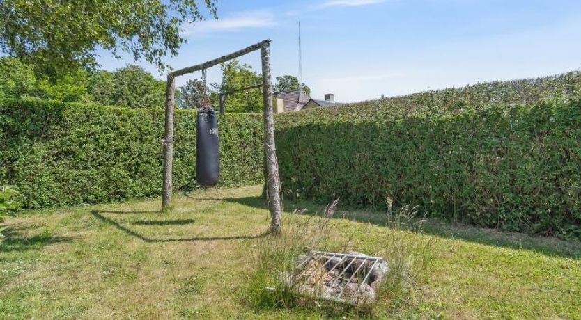 Photo of "Lacey" - 4km from the sea