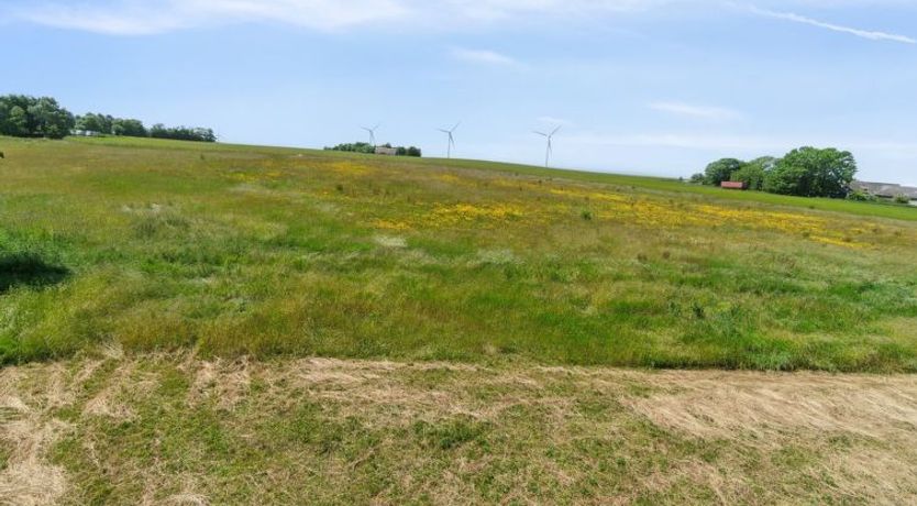 Photo of "Lacey" - 4km from the sea