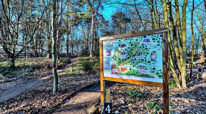 Photo of Aelfred Pod