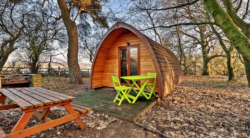 Photo of Aelfred Pod