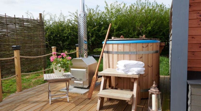 Photo of The Cornflower