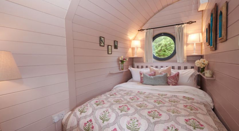 Photo of The Cornflower