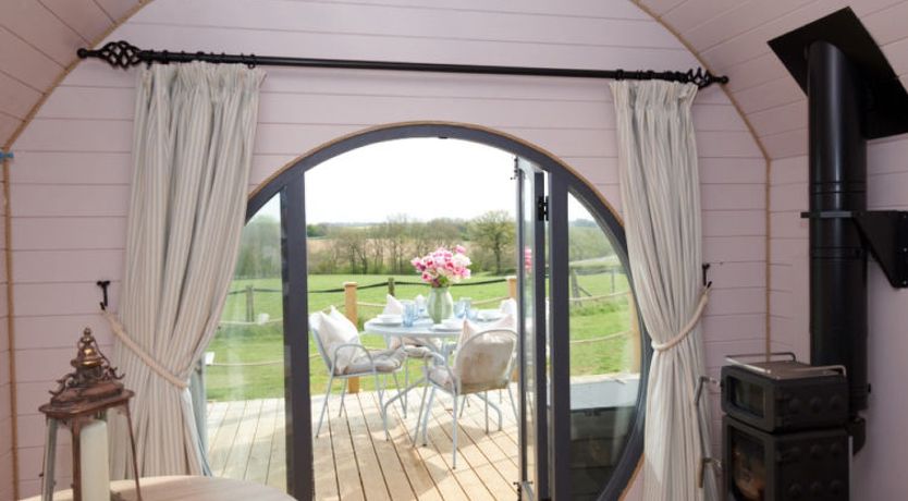 Photo of The Cornflower