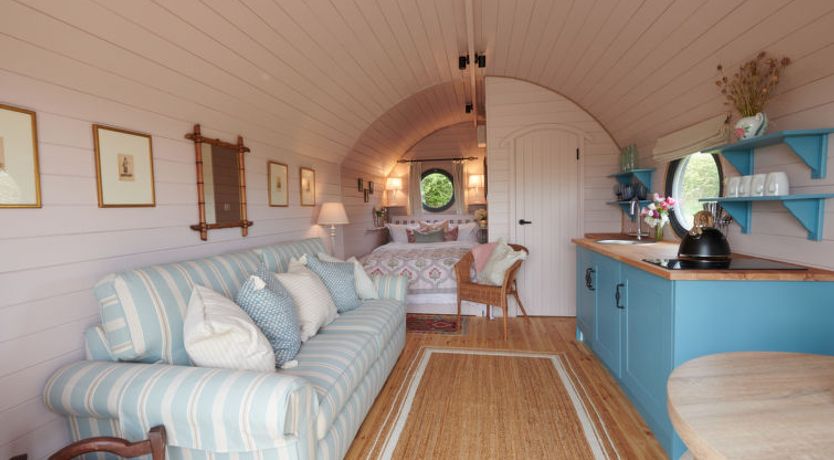 Photo of The Cornflower