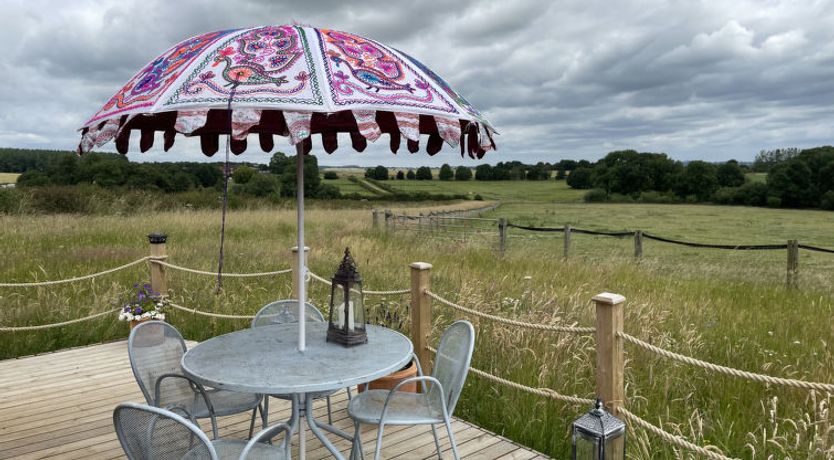 Photo of The Cornflower