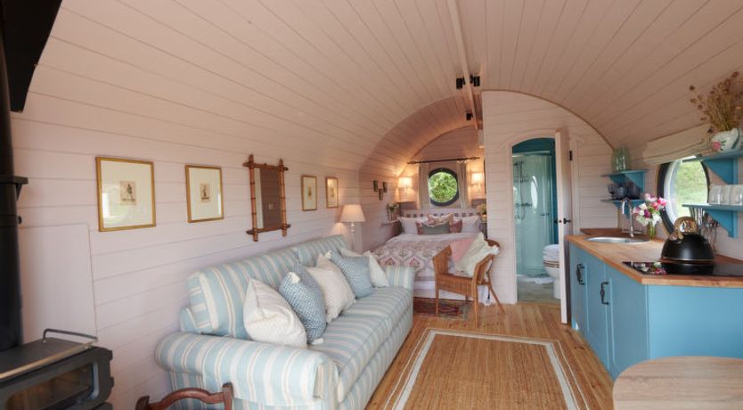 Photo of The Cornflower