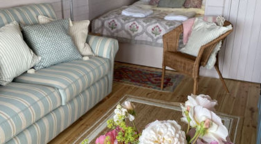 Photo of The Cornflower