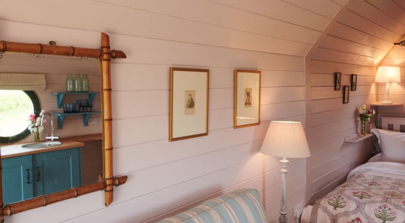 Photo of The Cornflower