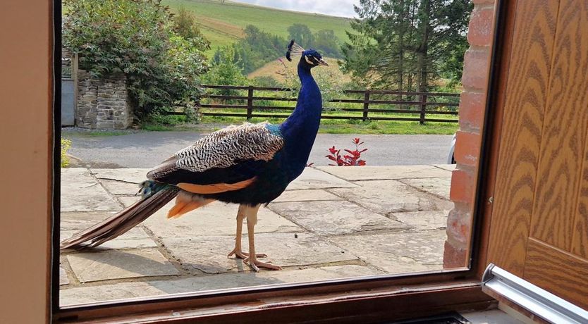 Photo of 2 Bed in Lower Chapel