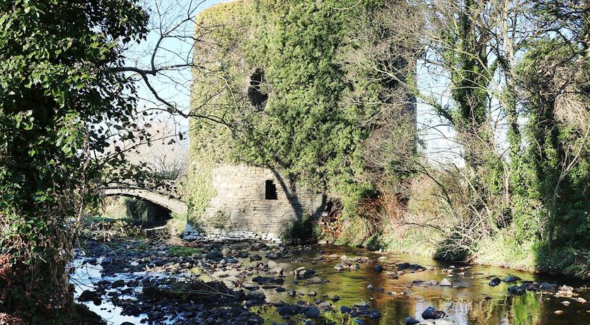 Photo of 1 Bed in Glin