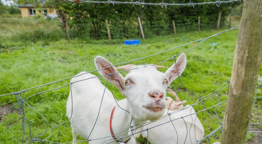 Photo of 3 Bed in Bruckless