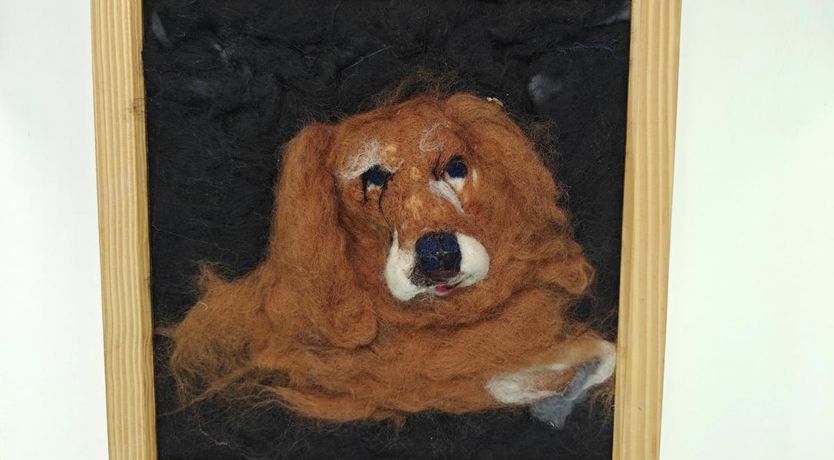 Photo of 1 Bed in Barton Stacey