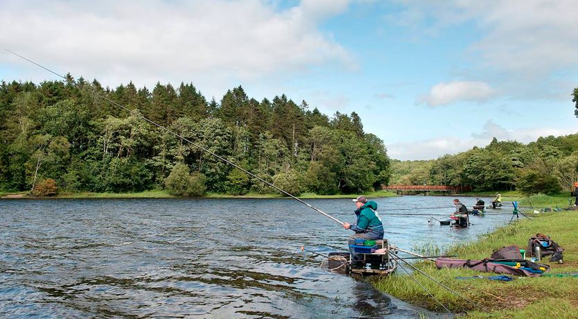 Photo of 3 Bed in Bailieborough