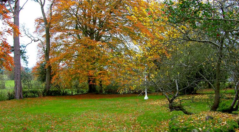 Photo of 3 Bed in Randalstown