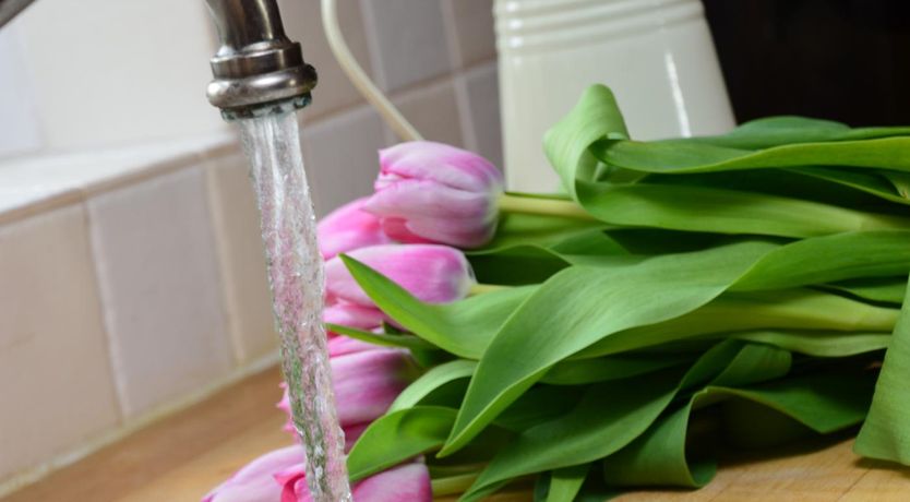 Photo of 1 Bed in Bideford