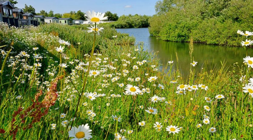 Photo of Forest Lodge
