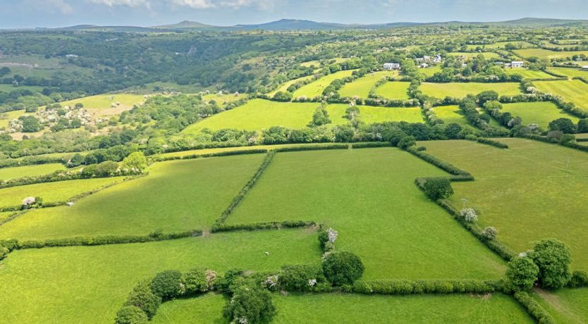 Photo of Demelza Cottage