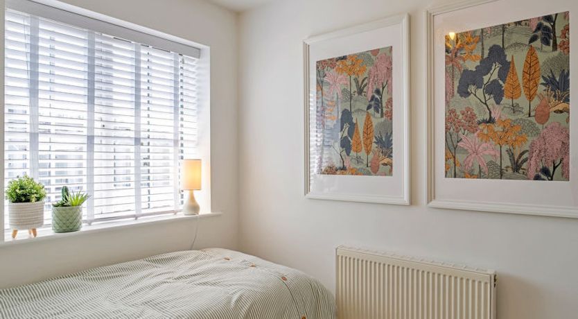 Photo of Strand Mews