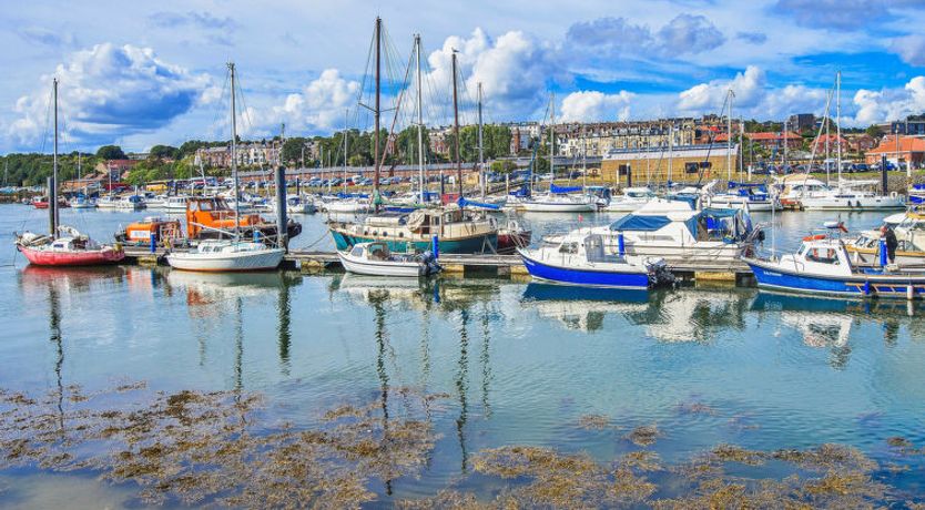 Photo of Ukulele Cottage