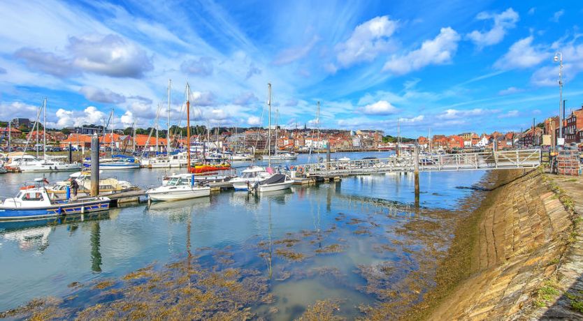 Photo of Ukulele Cottage