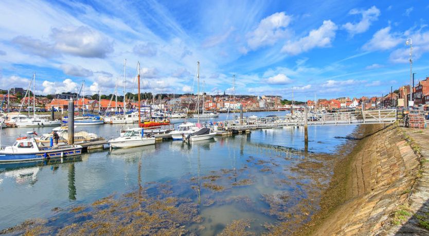 Photo of Ukulele Studio