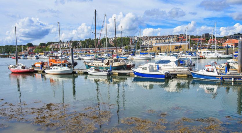 Photo of Ukulele Studio