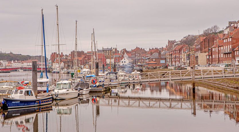 Photo of Ukulele Studio