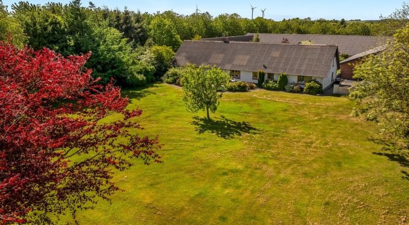 Photo of "Elia" - 5km to the fjord