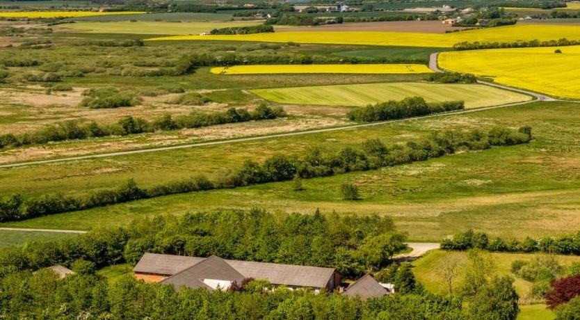 Photo of "Elia" - 5km to the fjord