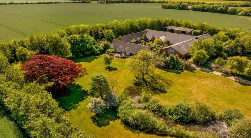 Photo of "Elia" - 5km to the fjord