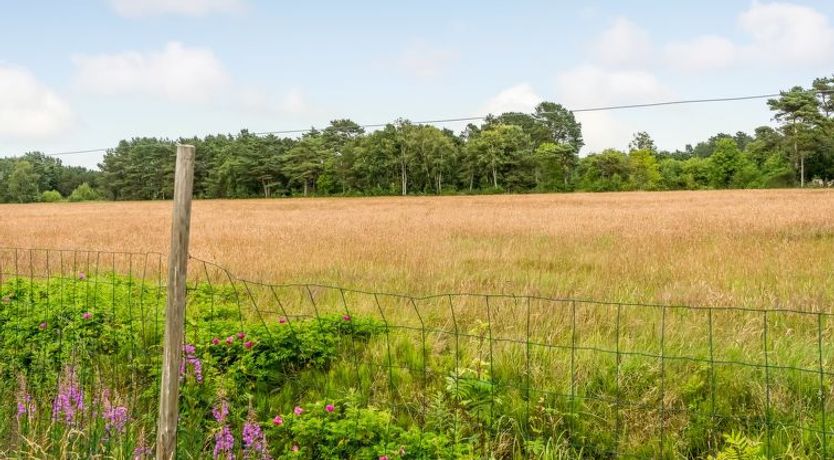 Photo of "Thine" - 800m from the sea